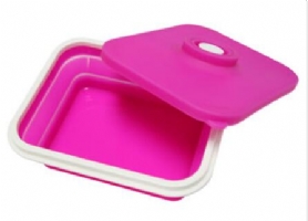 Silicone Foldable Lunch Box